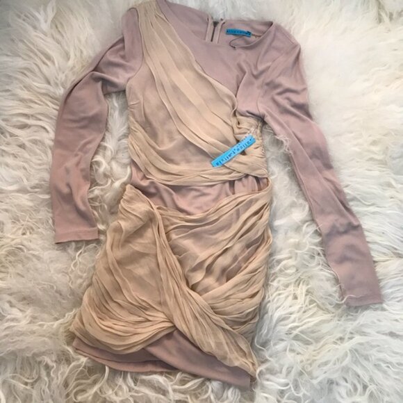 Alice + Olivia Dresses & Skirts - ALICE + OLIVIA Bateau Neckline Mini Dress